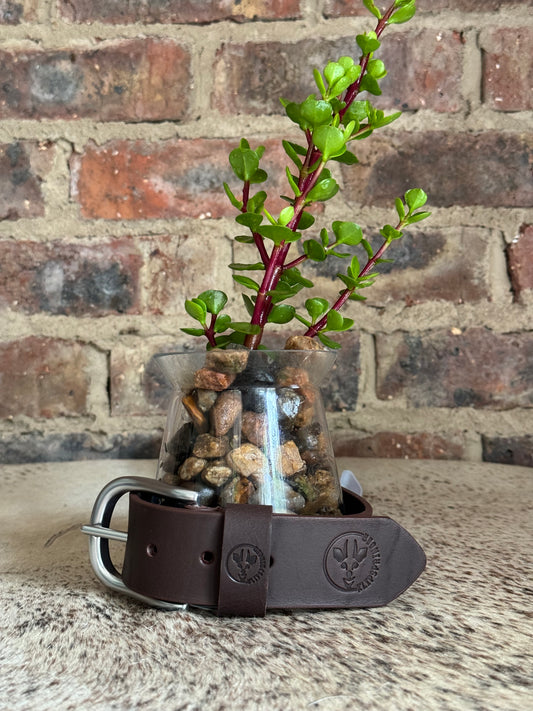 Mens Leather Belt - Brown